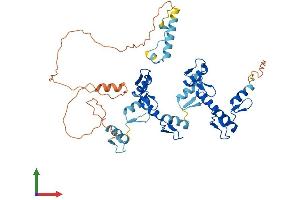 AlphaFold protein structure predicition of Human Recombinant ZNF627 Protein, UniprotID Q7L945
