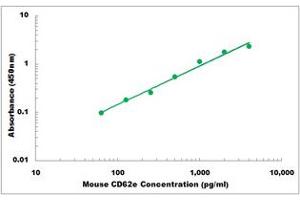 Representative Standard Curve (Selectin E/CD62e Kit ELISA)