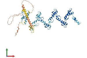 AlphaFold protein structure predicition of Human Recombinant ZNF479 Protein, UniprotID Q96JC4