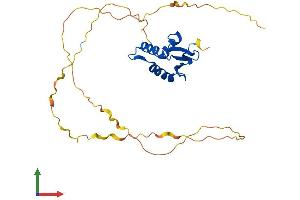 AlphaFold protein structure predicition of Human Recombinant SPIB Protein, UniprotID Q01892