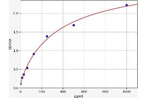Growth Differentiation Factor 11 (GDF11) ELISA Kit
