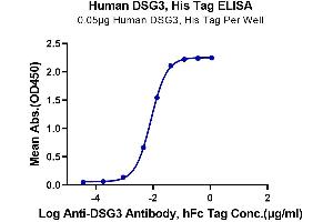 Immobilized Human DSG3, His Tag at 0. (Desmoglein 3 Protein (DSG3) (AA 50-615) (His tag))