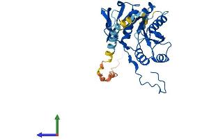 AlphaFold protein structure predicition of Human Recombinant B3GAT2 Protein, UniprotID Q9NPZ5