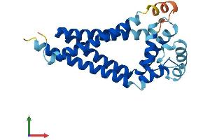 AlphaFold protein structure predicition of Human Recombinant CD81 Protein, UniprotID P60033
