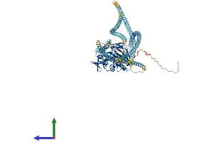 AlphaFold protein structure predicition of Human Recombinant KIF5C Protein, UniprotID O60282