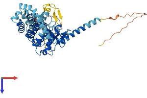 AlphaFold protein structure predicition of Human Recombinant PNPLA5 Protein, UniprotID Q7Z6Z6