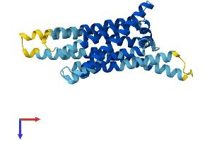 Taste Receptor, Type 2, Member 120 (TAS2R120) (AA 1-295) protein (His tag)