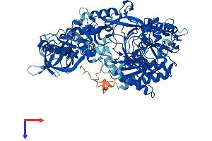 AlphaFold protein structure predicition of Human Recombinant AGO1 Protein, UniprotID Q9UL18