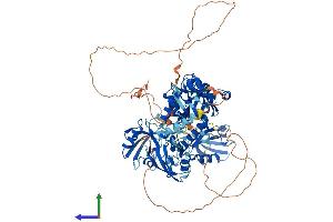 AlphaFold protein structure predicition of Human Recombinant DLG3 Protein, UniprotID Q92796