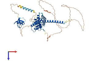 AlphaFold protein structure predicition of Mouse Recombinant Stam2 Protein, UniprotID O88811