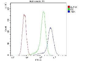 Flow Cytometry analysis of U20S cells using anti-ADA antibody (ABIN6719272). (ADA anticorps  (AA 135-363))