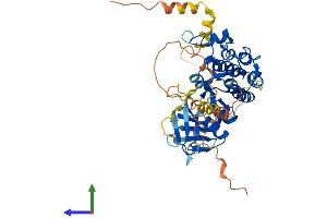 AlphaFold protein structure predicition of Mouse Recombinant Map3k8 Protein, UniprotID Q07174