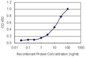 Detection limit for recombinant GST tagged FOXK2 is 0.