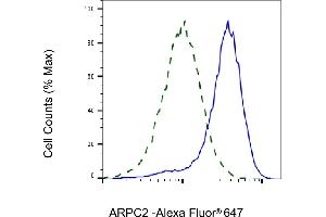 Validation of ARPC2 knockdown using flow cytometry.