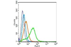 Human 293T cells probed with AQP1 Polyclonal Antibody, Unconjugated  (green) at 1:100 for 30 minutes followed by a PE conjugated secondary antibody compared to unstained cells (blue), secondary only (light blue), and isotype control (orange).