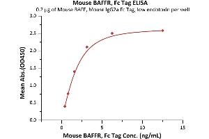 Immobilized Mouse BAFF, Mouse IgG2a Fc Tag, low endotoxin (ABIN5954906,ABIN6253646) at 2 μg/mL (100 μL/well) can bind Mouse BAFFR, Fc Tag (ABIN5526590,ABIN5526591) with a linear range of 0.