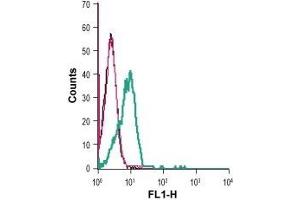 Cell surface detection of GPR83 in live intact human Jurkat T-cell leukemia cells: (black line) Cells. (GPR83 anticorps  (Extracellular))
