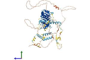 AlphaFold protein structure predicition of Human Recombinant ADD2 Protein, UniprotID P35612