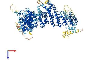 AlphaFold protein structure predicition of Mouse Recombinant Ap5z1 Protein, UniprotID Q3U829