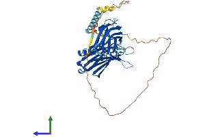 AlphaFold protein structure predicition of Mouse Recombinant Syt7 Protein, UniprotID Q9R0N7