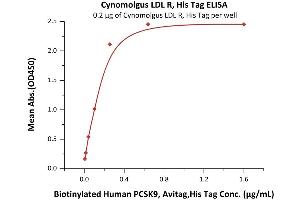 Immobilized Cynomolgus LDL R, His Tag (ABIN5526601,ABIN5526602) at 2 μg/mL (100 μL/well) can bind Biotinylated Human PCSK9, Avitag,His Tag (ABIN2444172,ABIN2444171) with a linear range of 0.