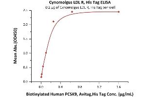Immobilized Cynomolgus LDL R, His Tag (ABIN5526601,ABIN5526602) at 2 μg/mL (100 μL/well) can bind Biotinylated Human PCSK9, Avitag,His Tag (ABIN2444172,ABIN2444171) with a linear range of 0. (LDLR Protein (AA 22-788) (His tag))