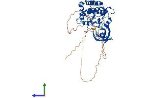 AlphaFold protein structure predicition of Mouse Recombinant Csnk1g1 Protein, UniprotID Q8BTH8