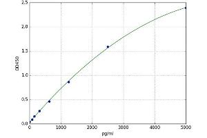 Carboxypeptidase N Subunit 2 (CPN2) ELISA Kit