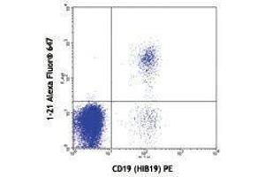 Flow Cytometry (FACS) image for anti-T-Cell Leukemia/lymphoma 1A (TCL1A) antibody (Alexa Fluor 647) (ABIN2658007) (TCL1A anticorps  (Alexa Fluor 647))