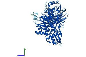 AlphaFold protein structure predicition of Human Recombinant FARSB Protein, UniprotID Q9NSD9