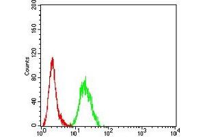 Flow cytometric analysis of THP-1 cells using ADAM10 mouse mAb (green) and negative control (red).