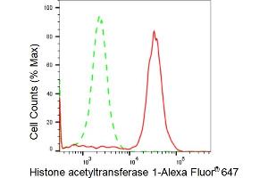 Flow cytometric analysis of Histone acetyltransferase 1 expression in HeLa cells using Histone acetyltransferase 1 antibody (ABIN7798921), 1:2,000). (Recombinant HAT1 anticorps)