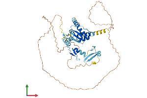 AlphaFold protein structure predicition of Human Recombinant ZBTB8A Protein, UniprotID Q96BR9