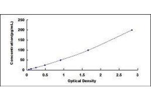 ELISA image for Defensin, beta 1 (DEFB1) ELISA Kit (ABIN424187)