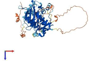 AlphaFold protein structure predicition of Mouse Recombinant Stradb Protein, UniprotID Q8K4T3