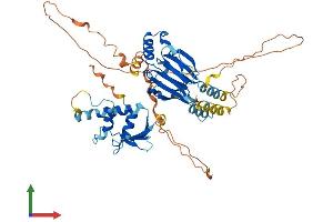 AlphaFold protein structure predicition of Human Recombinant IRF7 Protein, UniprotID Q92985