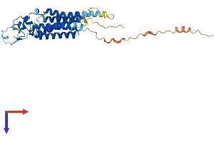 AlphaFold protein structure predicition of Mouse Recombinant Plppr1 Protein, UniprotID Q8BFZ2