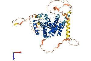 AlphaFold protein structure predicition of Human Recombinant CCNJL Protein, UniprotID Q8IV13