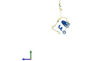 AlphaFold protein structure predicition of Mouse Recombinant Mafk Protein, UniprotID Q61827