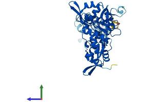AlphaFold protein structure predicition of Human Recombinant DSCC1 Protein, UniprotID Q9BVC3