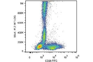 Surface staining of human peripheral blood cells with anti-human CD26 (BA5b) FITC.