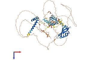 AlphaFold protein structure predicition of Mouse Recombinant Arnt2 Protein, UniprotID Q61324