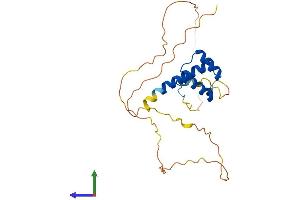 AlphaFold protein structure predicition of Human Recombinant HOXC6 Protein, UniprotID P09630