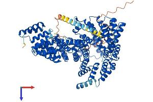 AlphaFold protein structure predicition of Mouse Recombinant Naa15 Protein, UniprotID Q80UM3