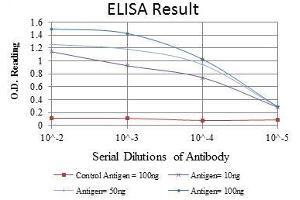 Red: Control Antigen (100 ng), Purple: Antigen (10 ng), Green: Antigen (50 ng), Blue: Antigen (100 ng),