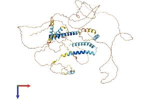 AlphaFold protein structure predicition of Human Recombinant CNST Protein, UniprotID Q6PJW8