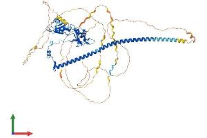 AlphaFold protein structure predicition of Mouse Recombinant Sfpq Protein, UniprotID Q8VIJ6