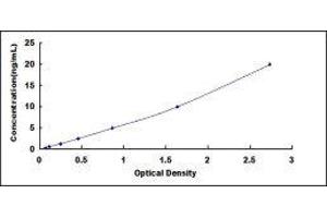 Fibroblast Growth Factor Receptor 1 (FGFR1) ELISA Kit