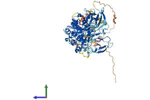 AlphaFold protein structure predicition of Human Recombinant PRKCG Protein, UniprotID P05129