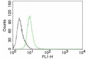 Flow cytometry testing of Jurkat cells. (CDKN1B anticorps)